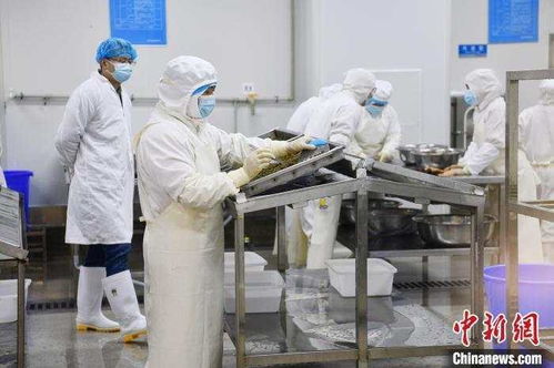 爾濱 帶起 特產(chǎn)大摸底 ,我老家也開(kāi)出 隱藏款