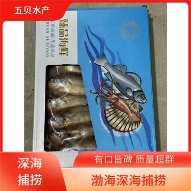 鮮蝦現(xiàn)在多少錢(qián)一斤