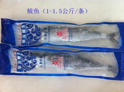 青島海鮮盛宴，禮遇四方 城陽海產品禮盒批發(fā)采購全指南